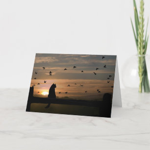 Cat Sympathy Loss of Cat Card