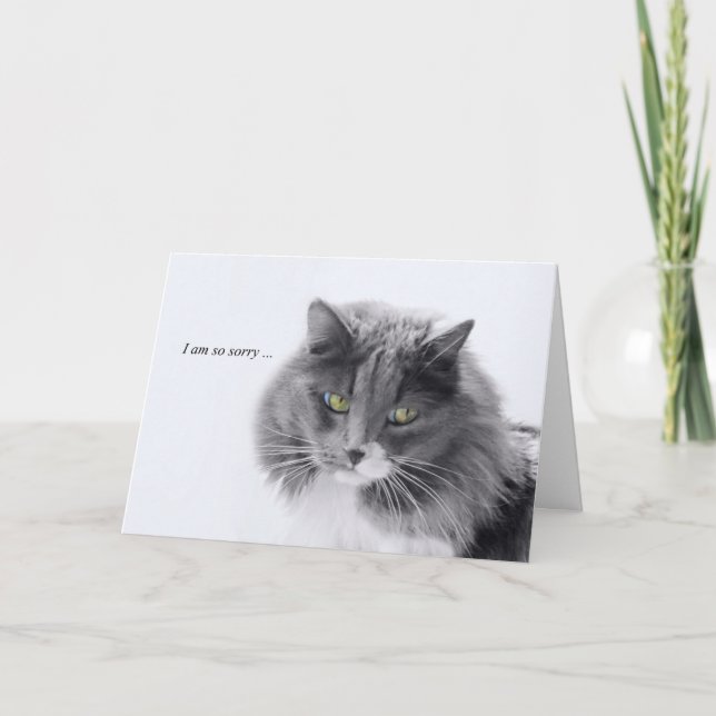 Cat Sympathy Minimalistic  Card (Front)