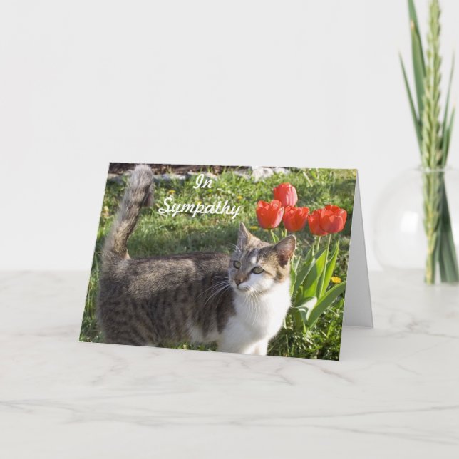 Cat Sympathy with Red Tulips Card (Front)