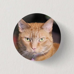 Cat T-Shirt 3 Cm Round Badge