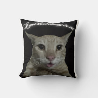 Cat t-shirt cushion
