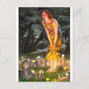 CAT (Tabby1) - MidEve Postcard