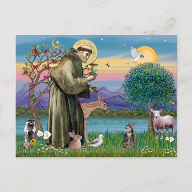 Cat (Tabby 2) - Saint Francis Postcard (Front)