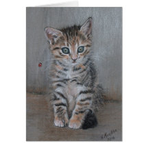 Cat, tabby kitten, just posing, fine art.