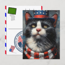 Cat Tabby Paw Feline USA Independence Day 2026