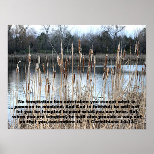 cat tails with bible verse 1 Corinthians 10:13 Poster