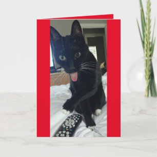 Cat takes remote for Valentines Day funny Holiday Card