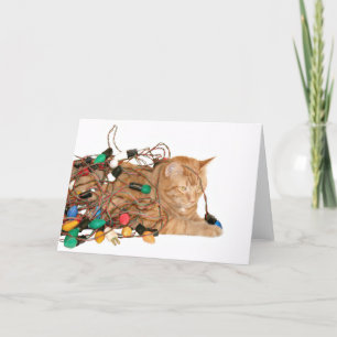 Cat tangled in Christmas lights Holiday Card