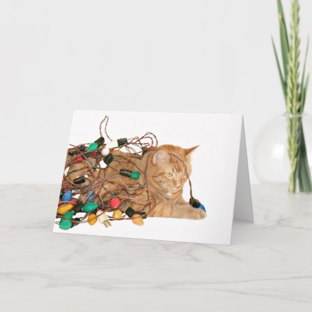 Cat tangled in Christmas lights Holiday Card (Front)