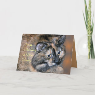 Cat Tazzie-customise any occasion Card