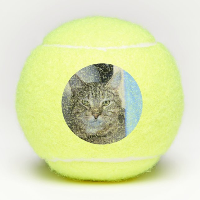 Cat Tennis Balls (Front)