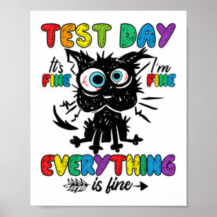 Cat Test Day It's Fine Im Fine Everything Is Fine Poster