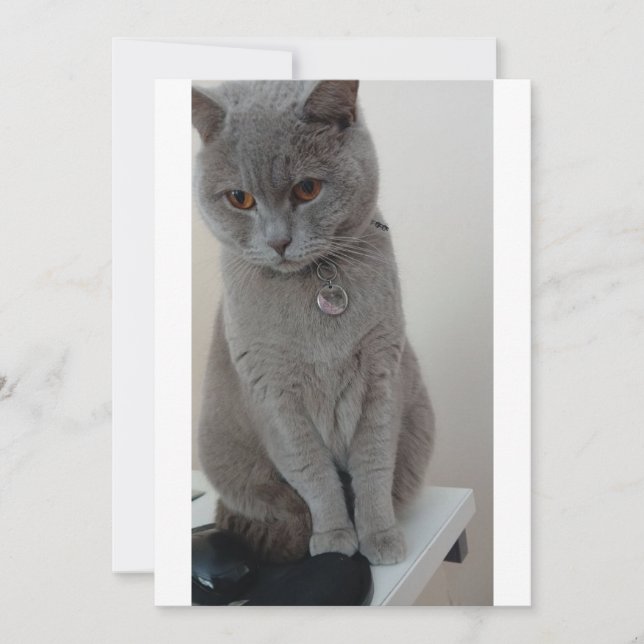 cat test invitation (Front)