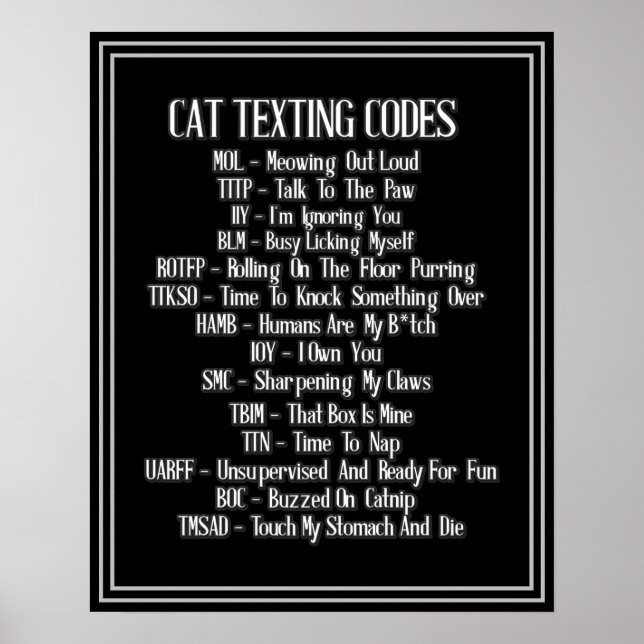 Cat Texting Codes Humor Poster (Front)