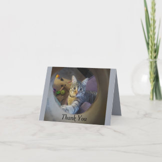 Cat Thank You Card