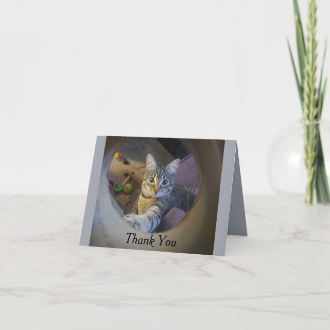 Cat Thank You Card (Front)