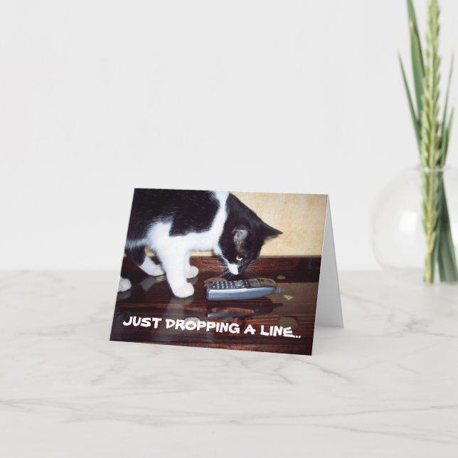 CAT THANK YOU CARD