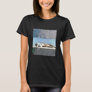 Cat that looks pleasant in the sun_001 T-Shirt