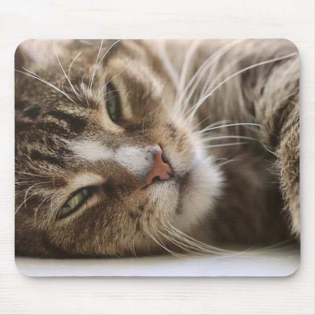 Cat, The Hangover, Cat's Eye Mouse Pad (Front)