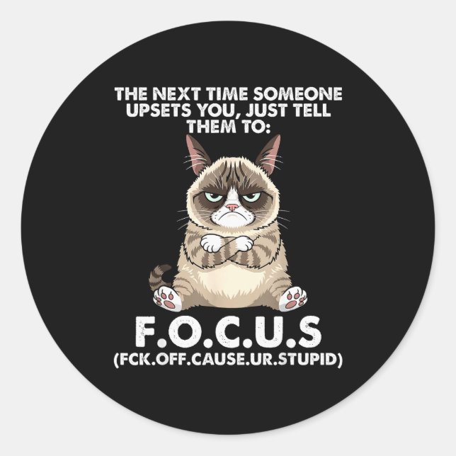 Cat The Next Time Someone Ets You Just Tell Them T Classic Round Sticker (Front)