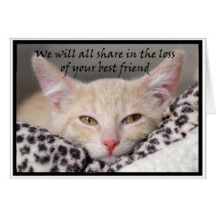 Cat theme bereavement card for loss of a pet