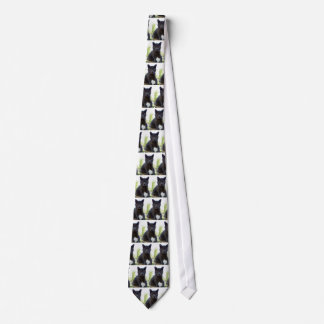 Cat themed neck tie. tie