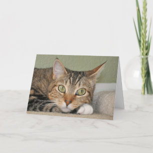 Cat thinking of you card