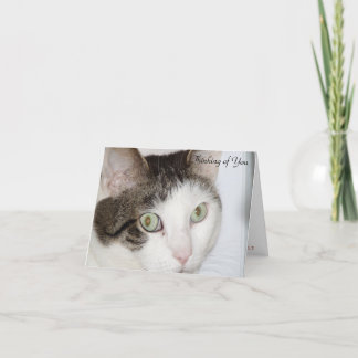 Cat - Thinking of You Card