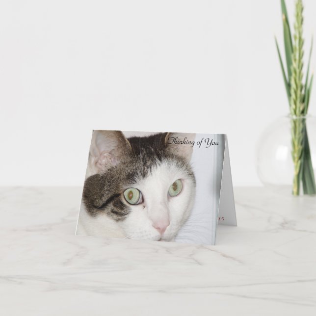 Cat - Thinking of You Card (Front)