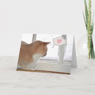 Cat Thinking of You  Card