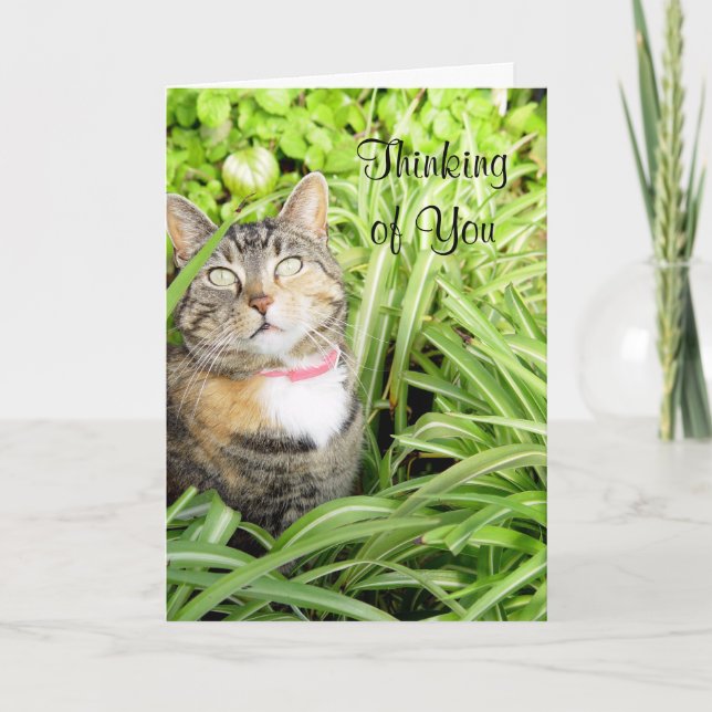 Cat Thinking of You Card (Front)