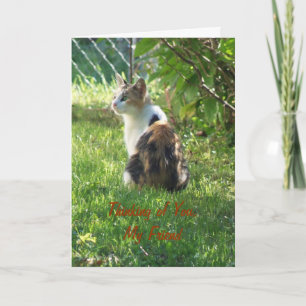 Cat/Thinking of You, My Friend Card