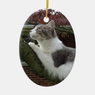 Cat Thoughts Ceramic Ornament