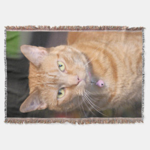 Cat Throw Blanket