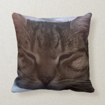 Cat Throw Pillow