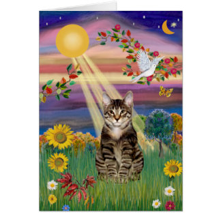 Cat (Tiger) - Autumn Sun