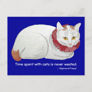 Cat Time Postcard