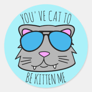 Cat to Be Kitten Me Classic Round Sticker