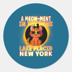 Cat Total Solar Eclipse Pun Classic Round Sticker