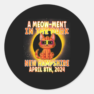 Cat Total Solar Eclipse Pun Classic Round Sticker