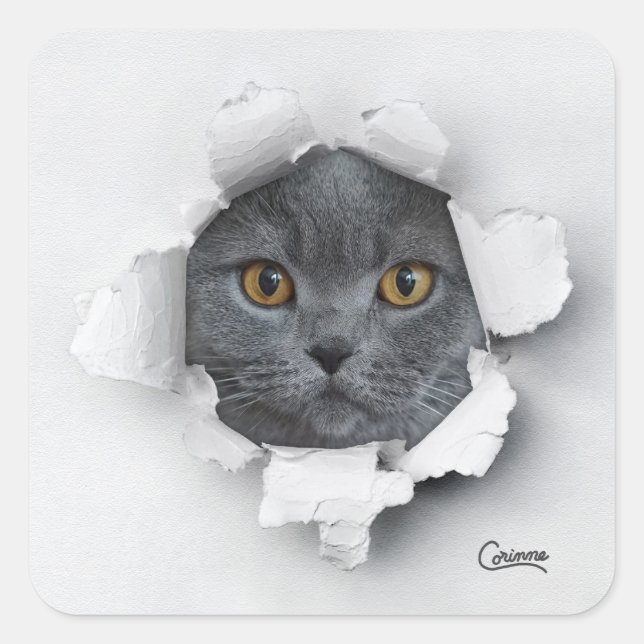 Cat Trap - Envelope Stickers (Front)