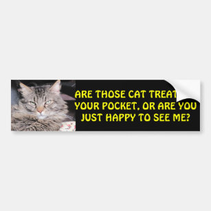 Cat Treats in Your Pocket? MEME Bumper Sticker
