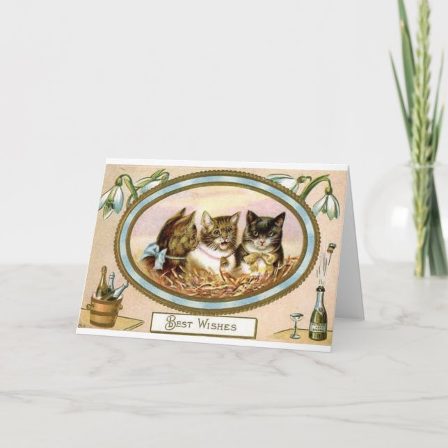 Cat Trio Congratulations - Special Occasion Holiday Card (Front)