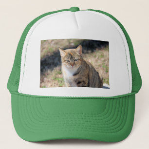 Cat Trucker Hat