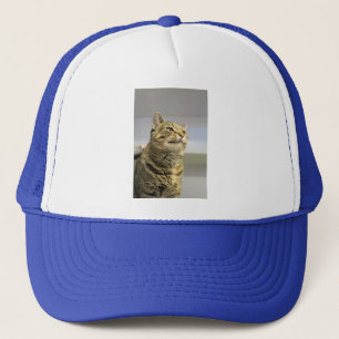 Cat trucker hat