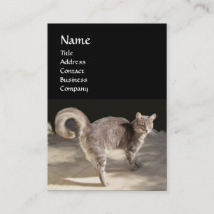 CAT ,TURTLE AND BASKETBALL BUSINESS CARD