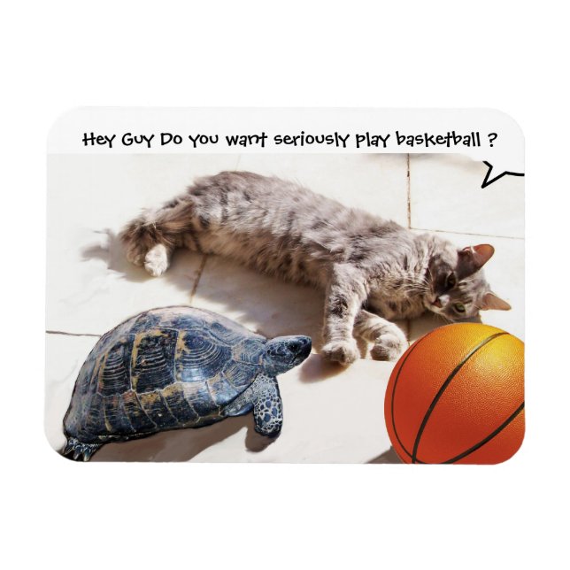CAT ,TURTLE  AND BASKETBALL MAGNET (Horizontal)