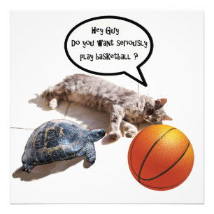 CAT ,TURTLE  AND BASKETBALL PHOTO PRINT