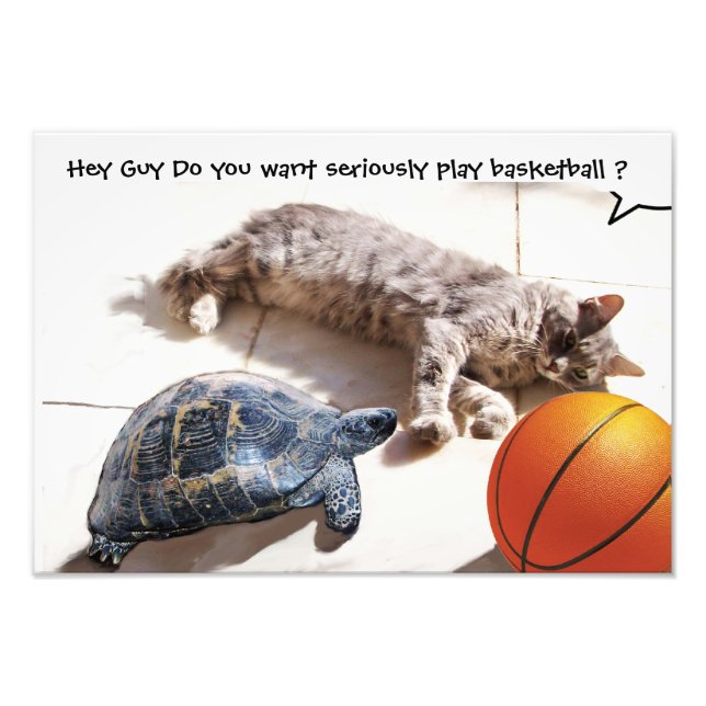 CAT ,TURTLE  AND BASKETBALL PHOTO PRINT (Front)
