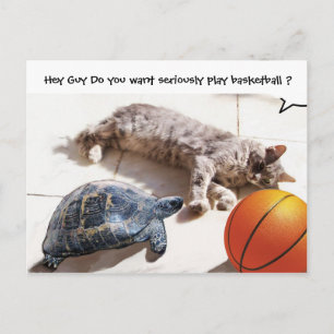 CAT ,TURTLE  AND BASKETBALL POSTCARD